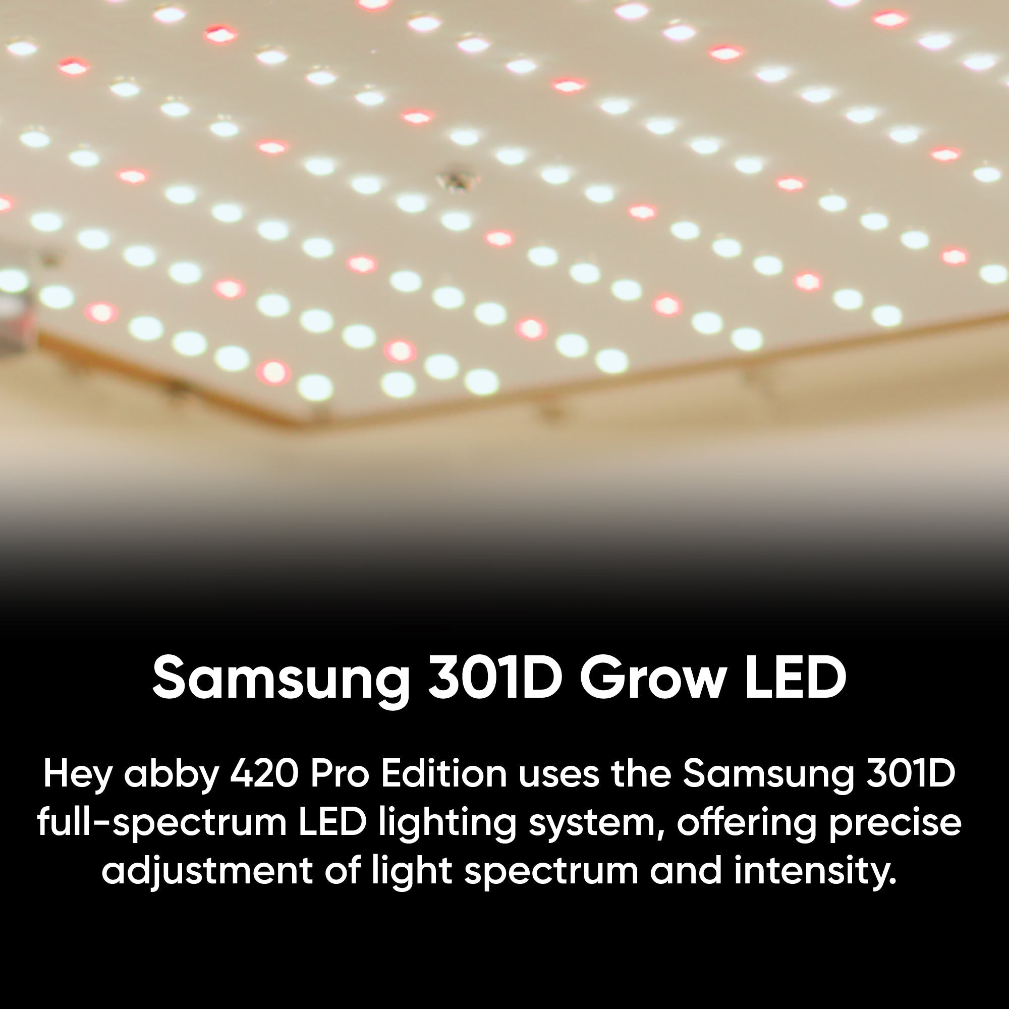 Hey abby 420 Pro Edition-Samsung LED array